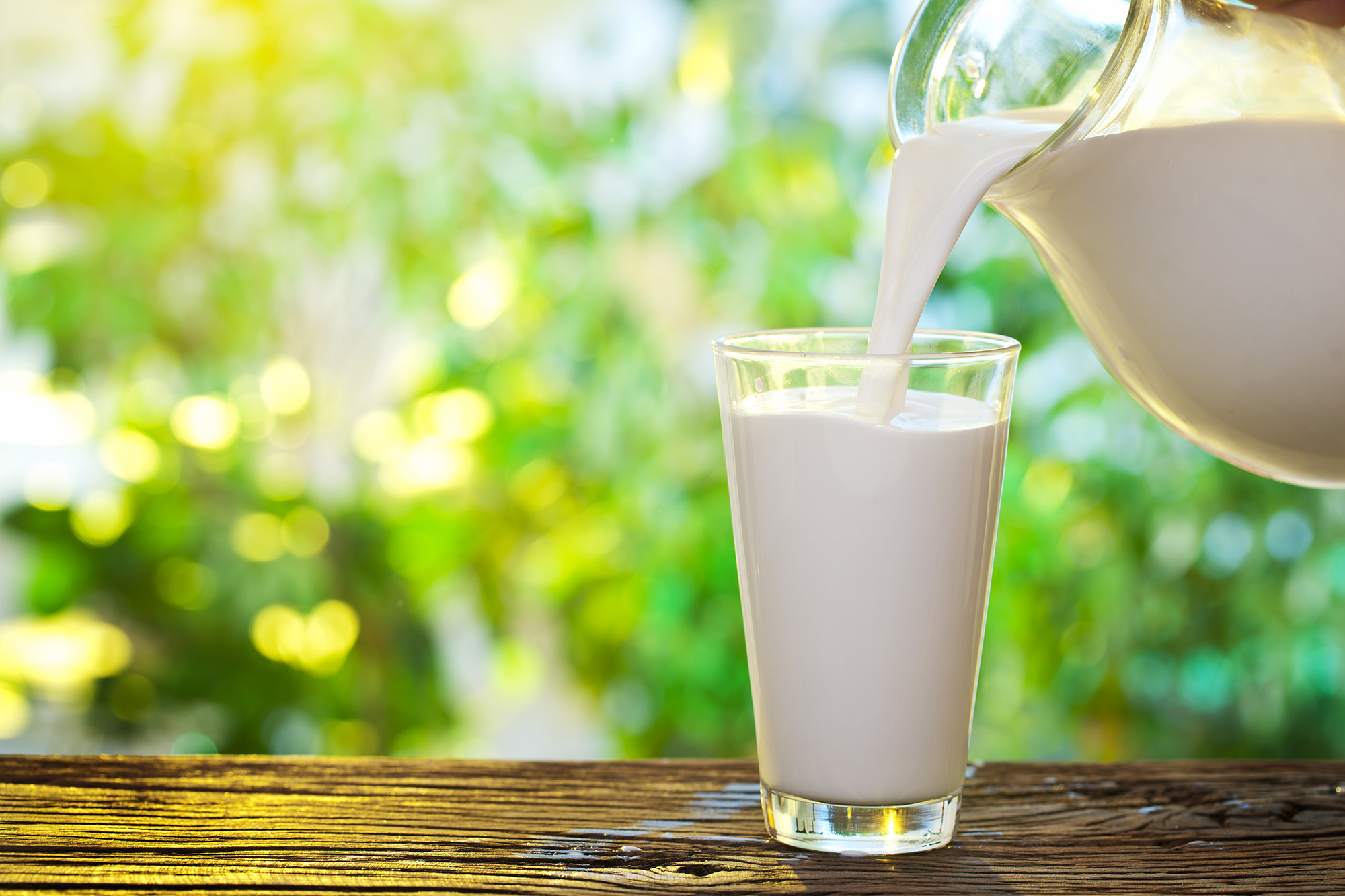 Banco de iglesia Contracción lunes Características de la leche Lodyn-Milk® | Lodyn